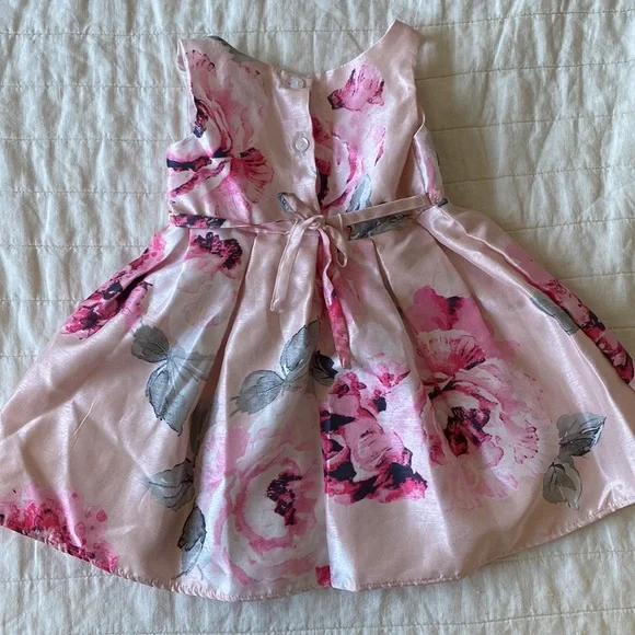 Sweet Heart Rose Floral Pink Sleeveless Dress Size 24 Months - Picture 2 of 11